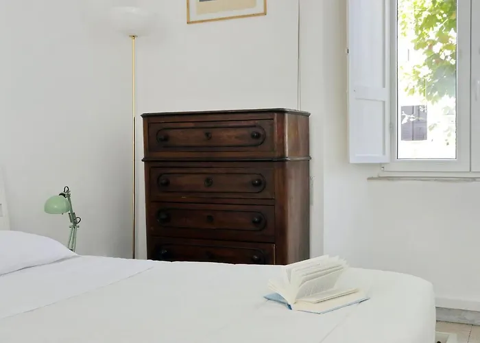 Cozy Merulana